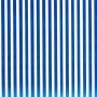 BLUE STRIPE