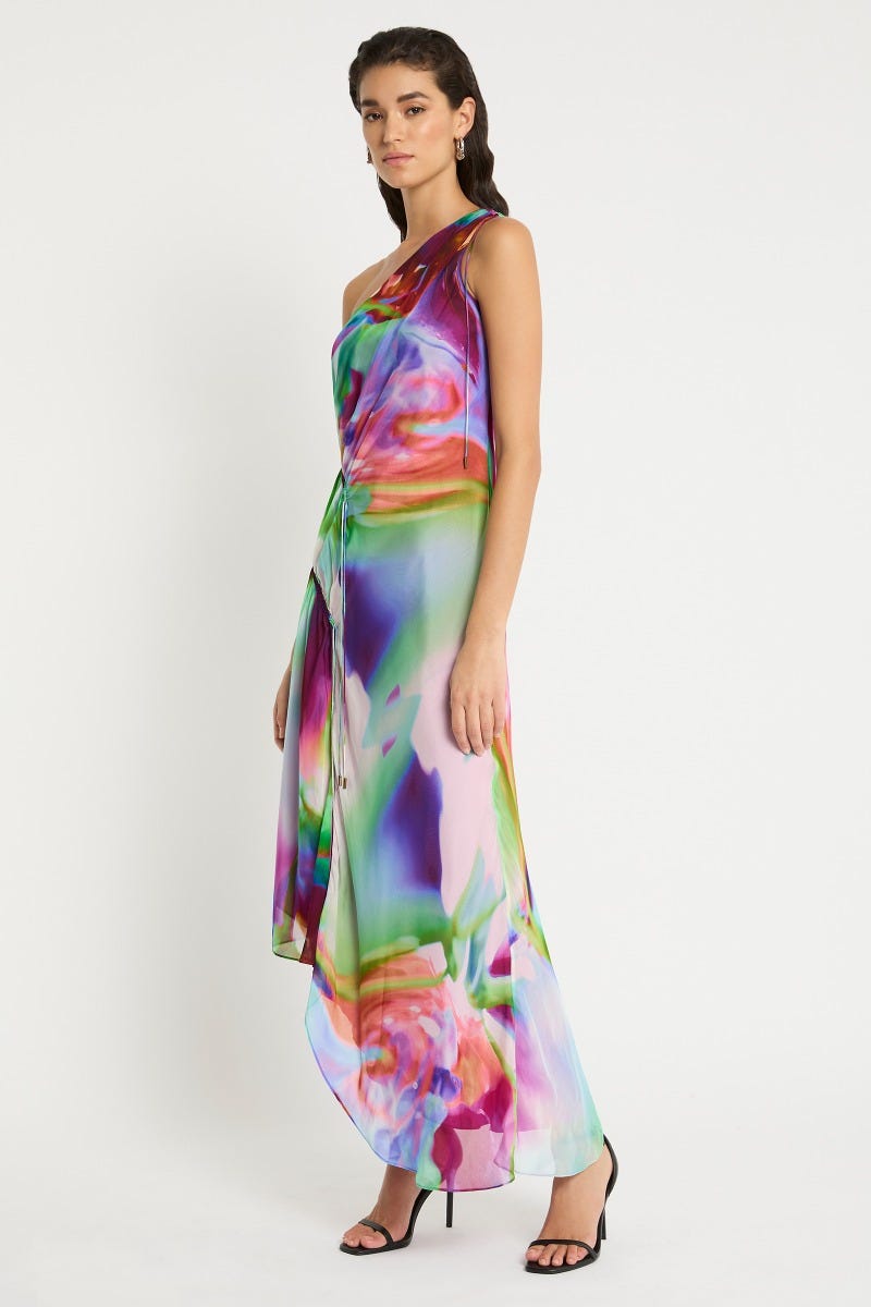 Sass and bide shop enlightenment dress
